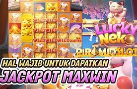 Lucky Neko Maxwin Hari Ini Pg